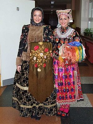 brodsko kolo 2010-1